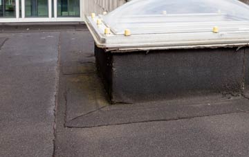 disadvantages of Hagnaby flat roofs