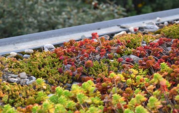 the cost of Hagnaby green roof installation