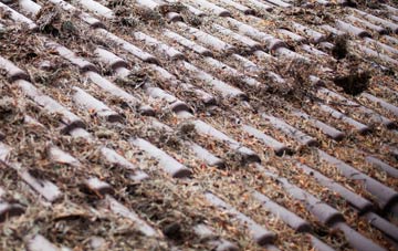 Hagnaby roof cleaning companies